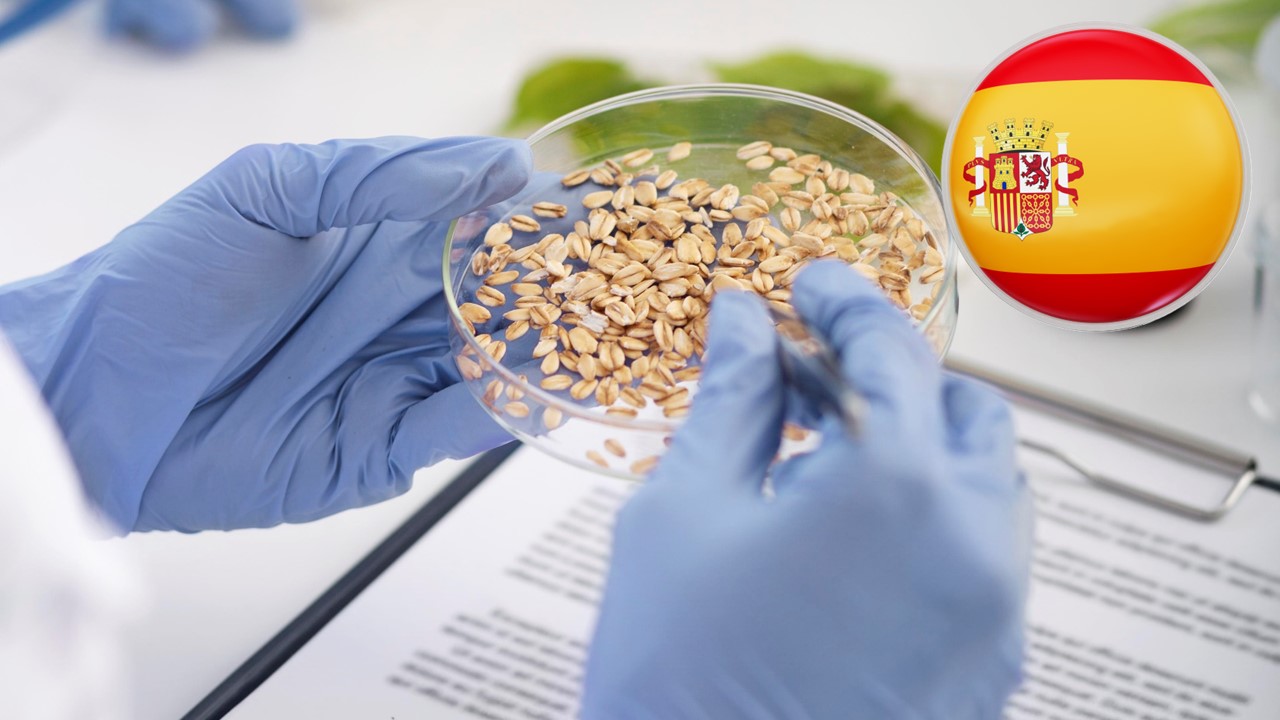 Explotación sostenible de las lentejas como extensor de carne derivado de plantas con propiedades físico-químicas y tecnofuncionales mejoradas