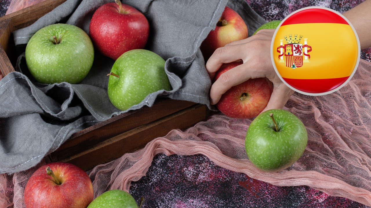 Valorización sostenible del bagazo de manzana