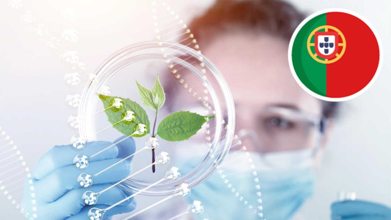 Tecnologias emergentes para construir um novo sistema alimentar