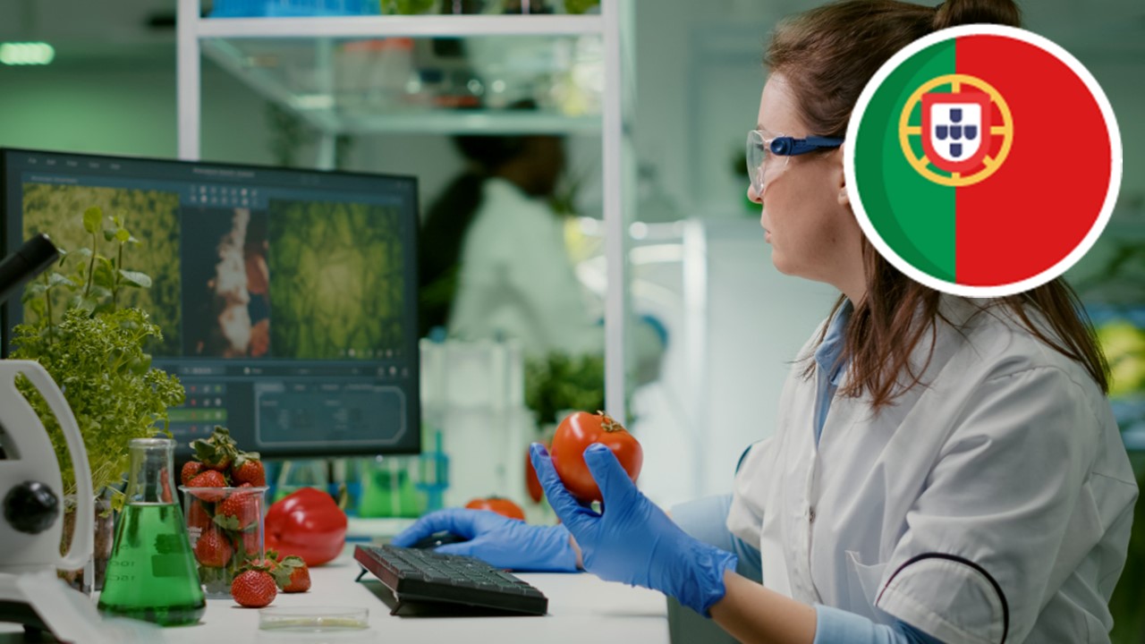 INNOV4FOOD: Convertendo subprodutos agroalimentares em poderosos ingredientes bioativos para o desenvolvimento de ingredientes funcionais
