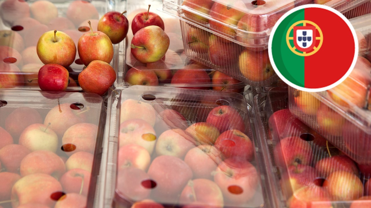 Embalagens Alimentares: O Tradicional vs. Tecnologias Emergentes